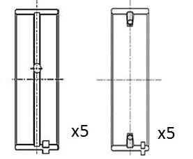 Crankshaft Bearing